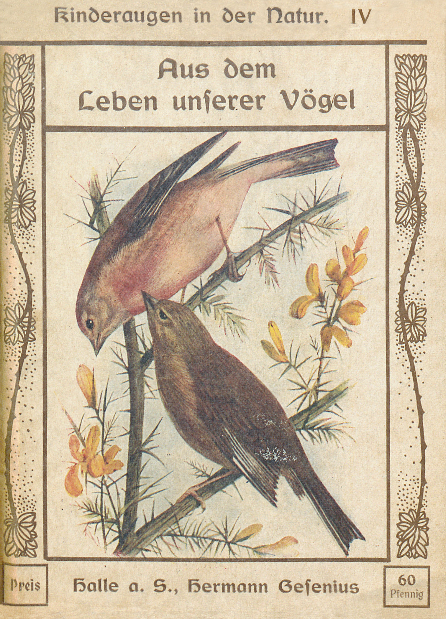 Aus dem Leben unserer Vögel Aus dem Leben unserer Vögel
