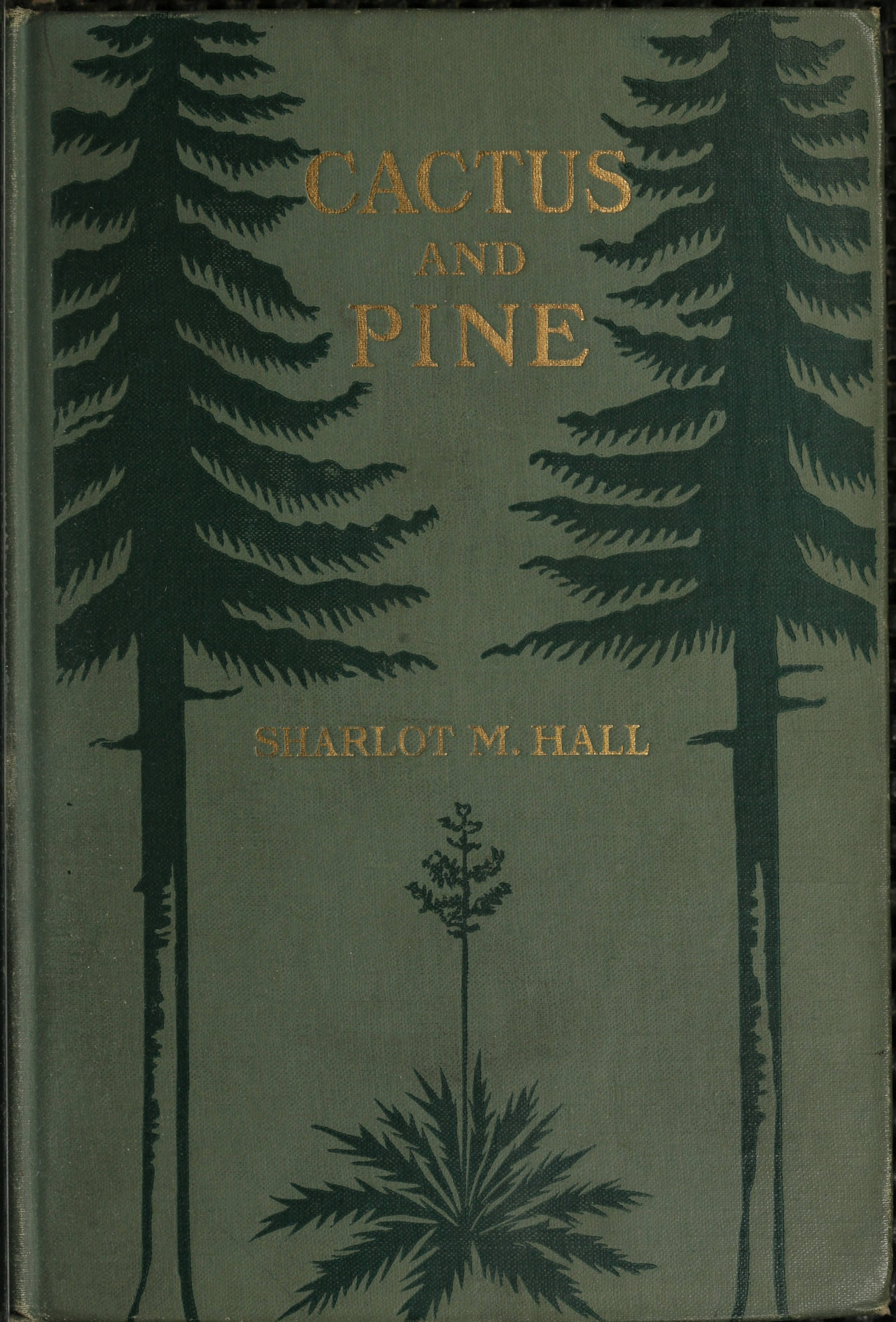 Cactus and pine: Songs of the Southwest Cactus and pine: Songs of the Southwest