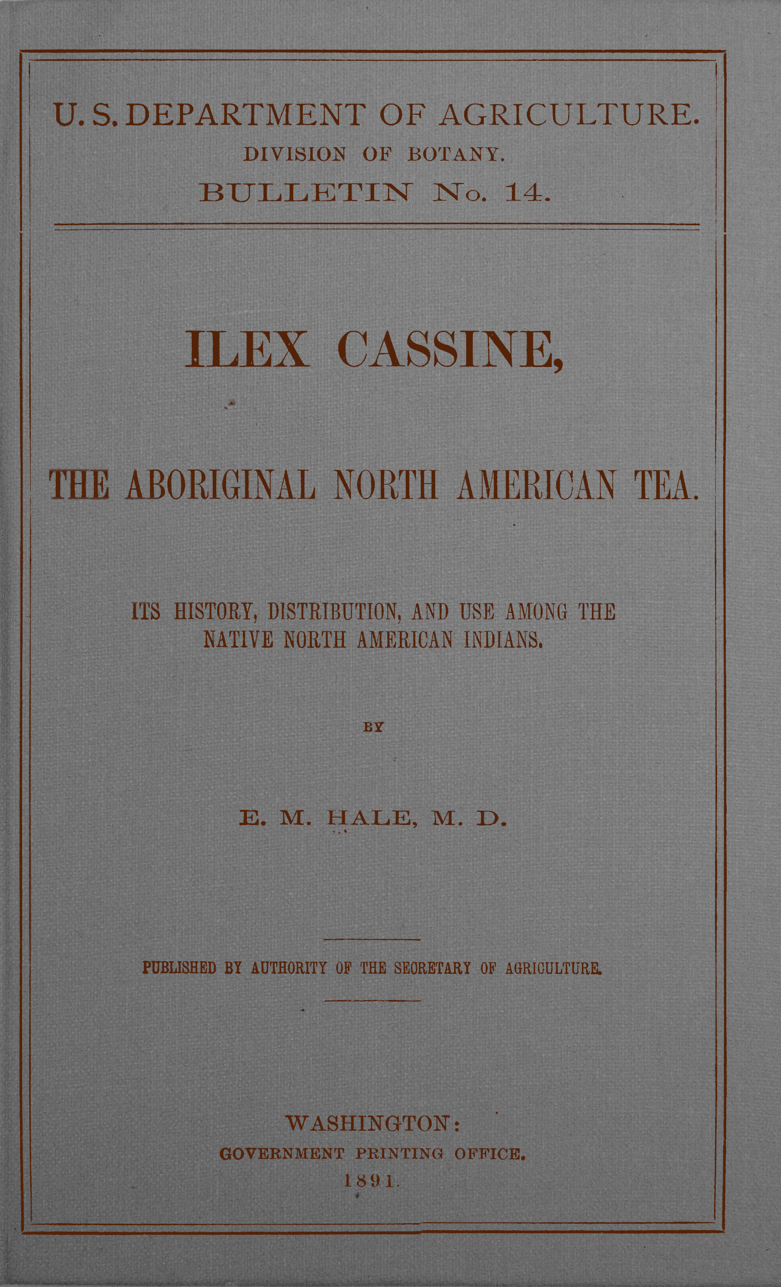 Ilex cassine, the aboriginal North American tea Ilex cassine, the aboriginal North American tea 