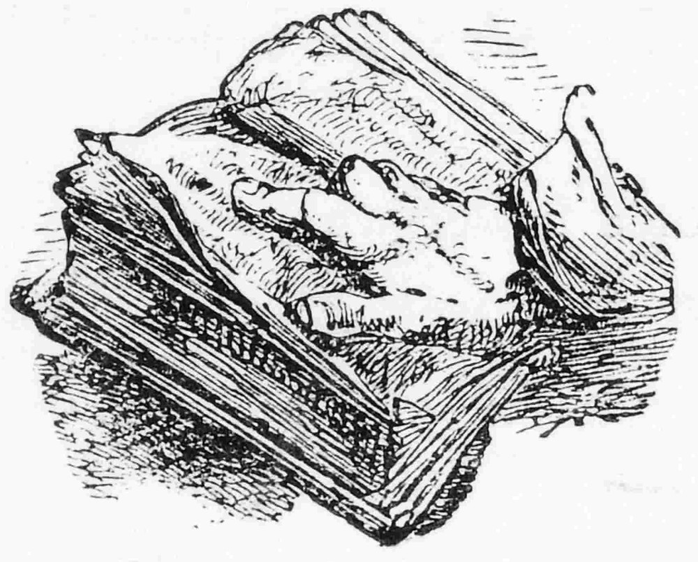 frontis: hand on Bible frontis: hand on Bible