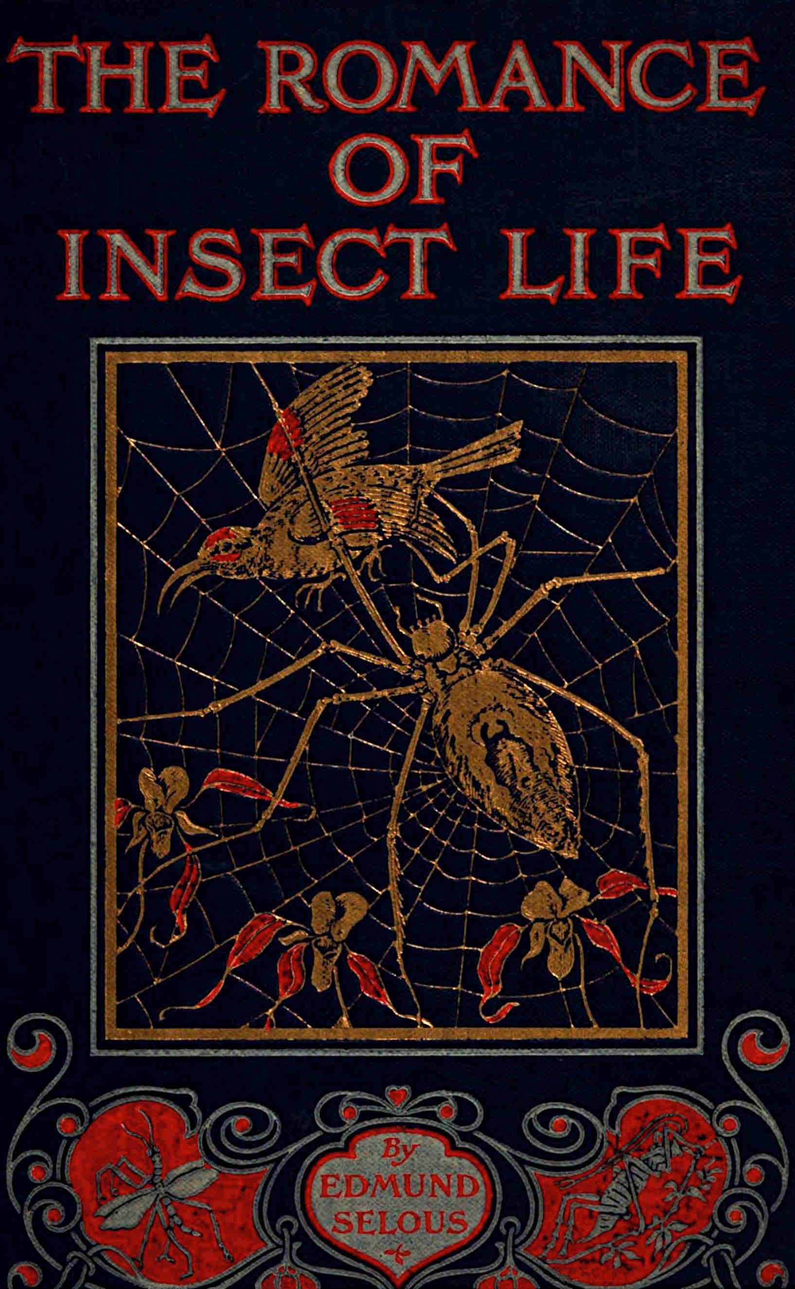 The romance of insect life The romance of insect life