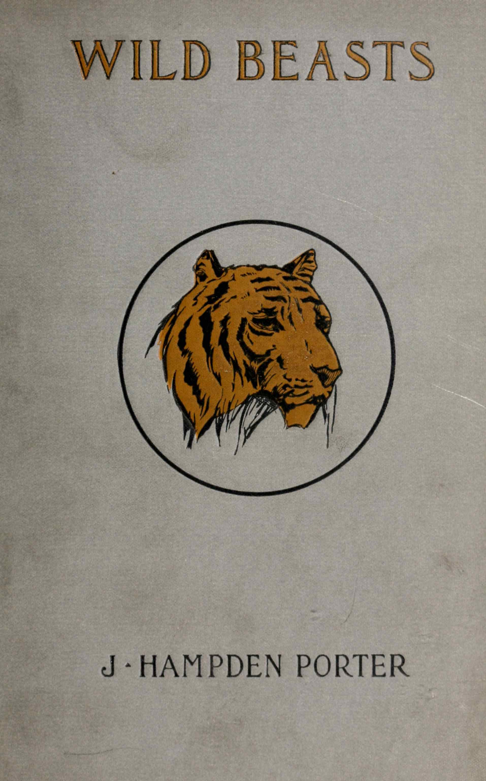 Wild beasts Wild beasts