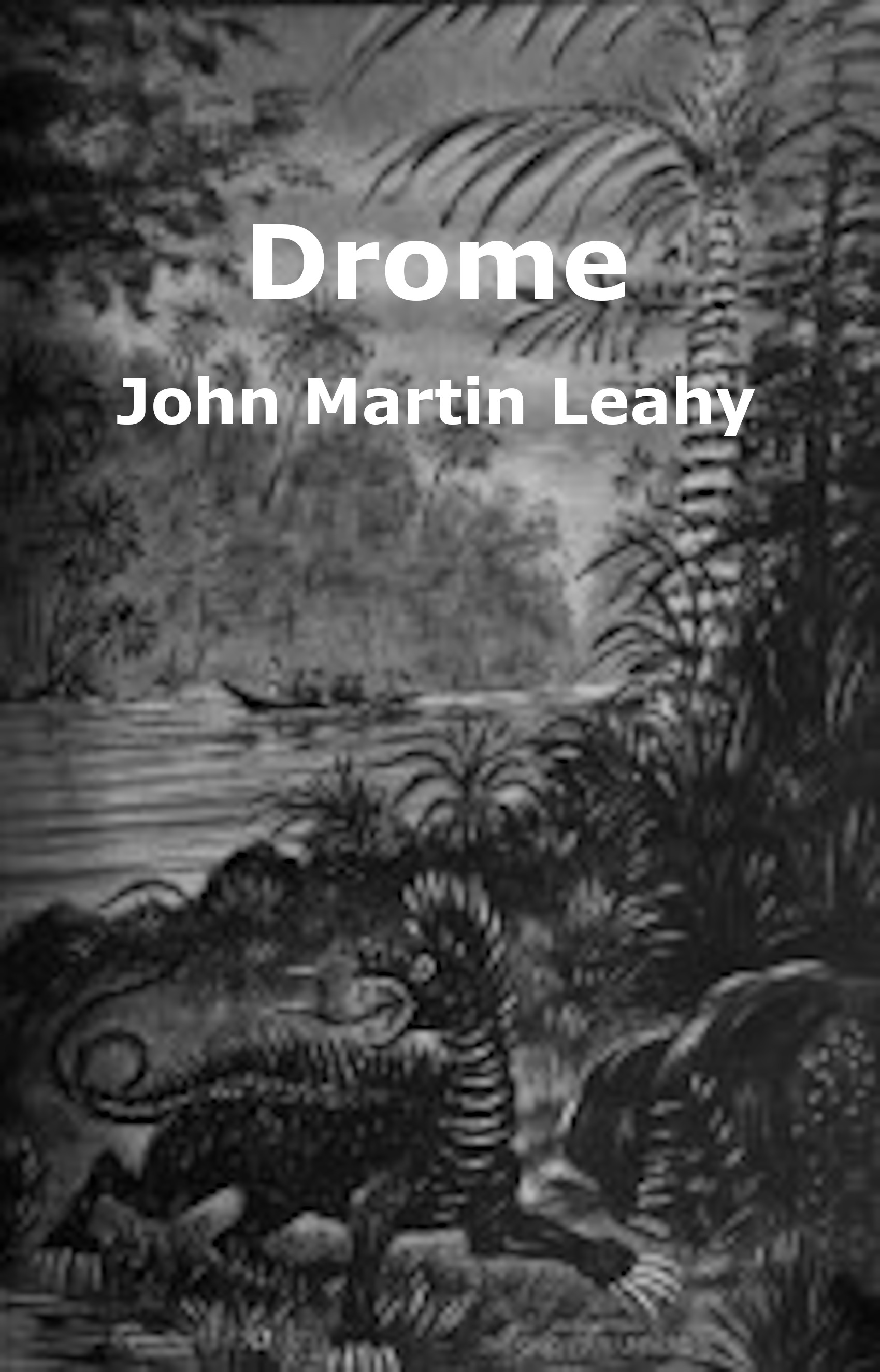 Drome Drome